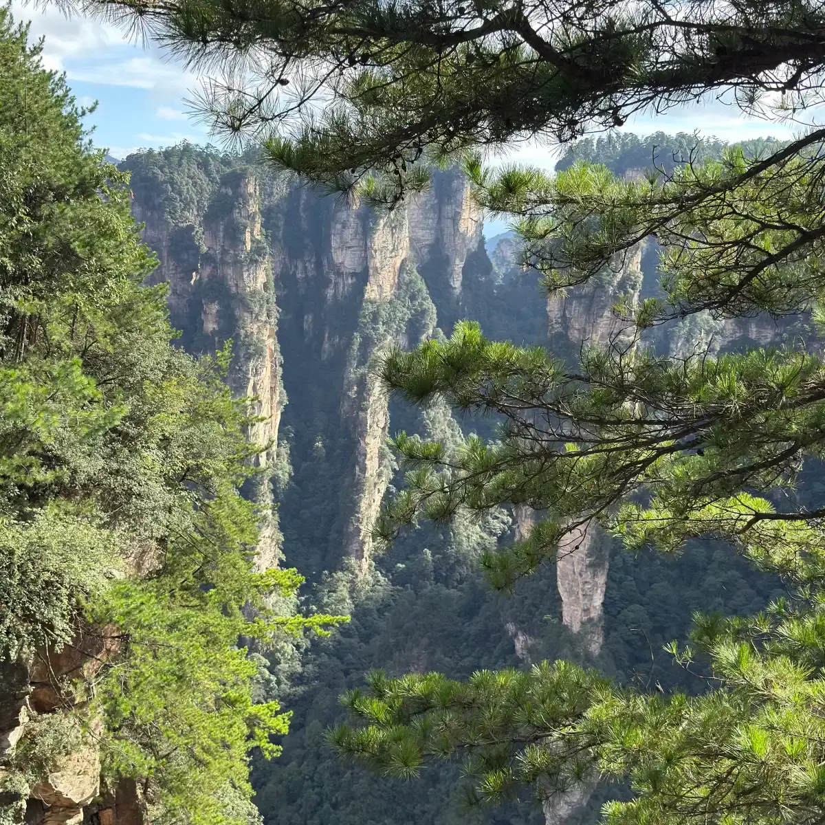 Moment from Zhangjiajie National Forest Park