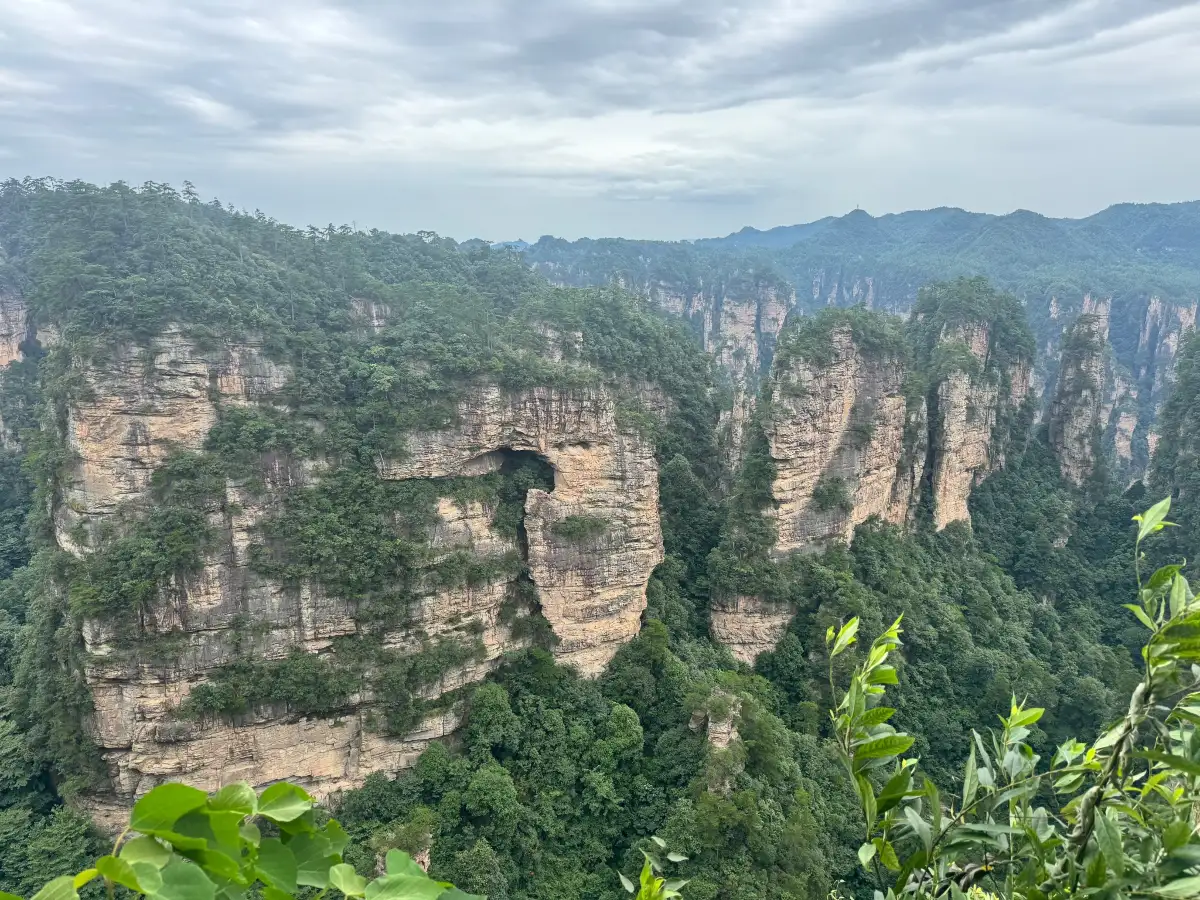 Wide view of the sandstone pillars of Zhangjiajie National Forest Park