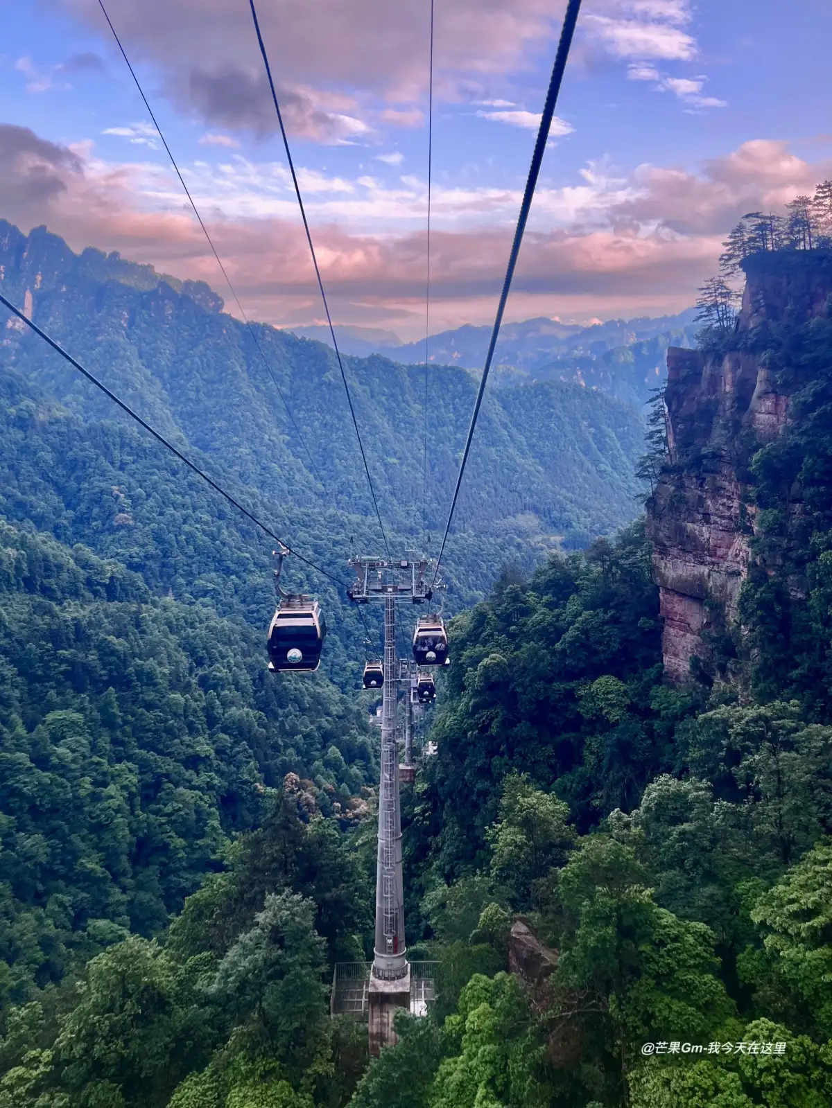 Macaque and the Tianzi Mountain cloud sea